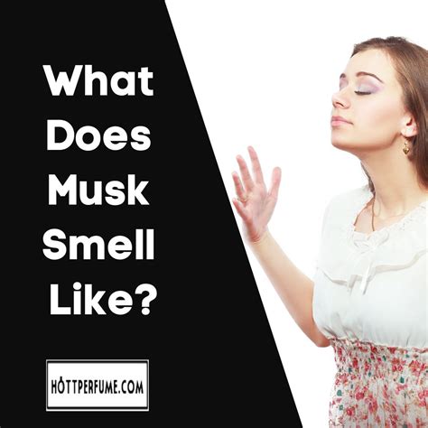 what is musk smell like